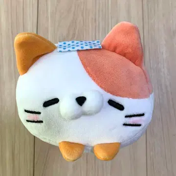 모찌후와! 코로코로냥코 온천지 한정판 온천냥