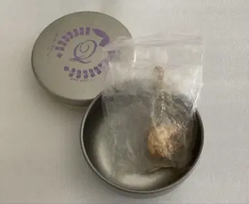 Q-pot 쿄우쥬로 목걸이 판매 종료품