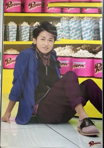 아라시 오노 사토시 포스터 [ Popcorn ]