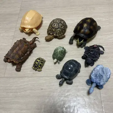 거북이 피규어 9체 세트! 묶음 판매