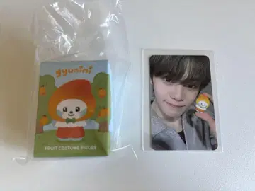 후르츠 제로니 규니니 트레이딩 카드 zb1