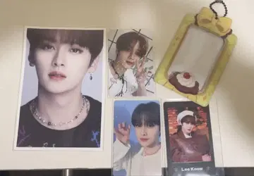 straykids 리노 Leeknow 트레이딩 카드