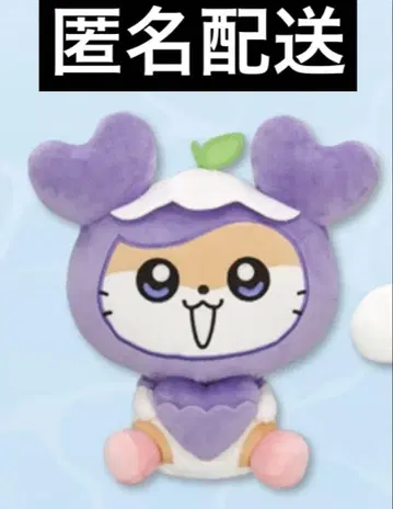 TWICE LOVERYS 사나 포켓 BIG 봉제 인형 gigo 한정판