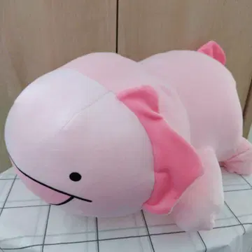감싸는 봉제 인형