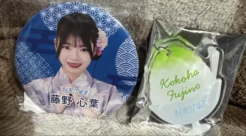 후지노 코하 HKT48 캡슐 복권 캔뱃지 네임 키링 세트