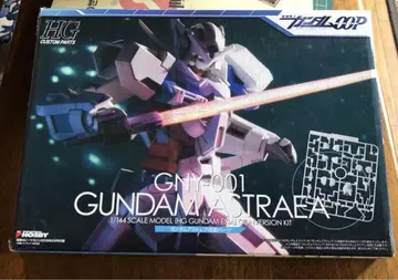 건담 아스트레아 HG GNY-001 GUNDAM ASTRAEA 1/144