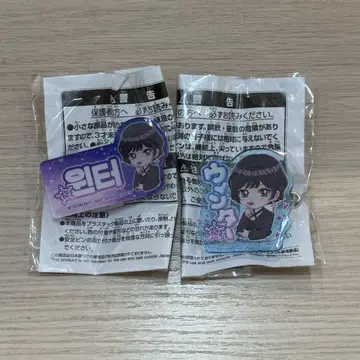aespa 이름 아크릴 배지 윈터