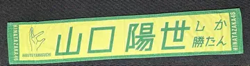 히나타자카46 머플러 타월 야마구치 하루요 너밖에 안 보여