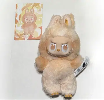 LABUBU HAPPINESS 라브브 공식 구매