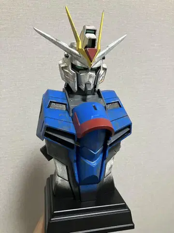 G-CERAMICAL 라이징 프리덤 건담 풀 페인트 제품