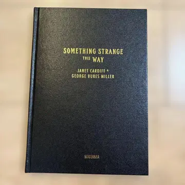 Something Strange This Way 세이겐샤