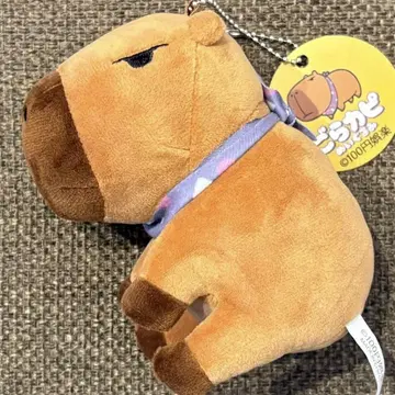 100엔 오락 고라카피 봉제 인형 앉은 갈색