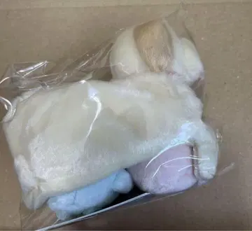 스미코구라시 타피닥스
