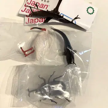 일본의 생물 02 장수풍뎅이 따오기 비와코 왕메기