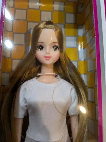 미개봉 새상품 리카짱 캐슬 미라이