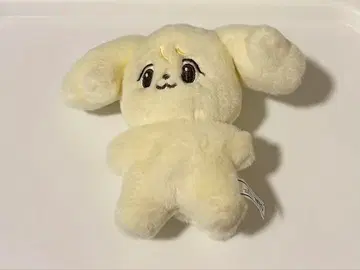 [ 최종 가격 인하 ] NCT 127 정우 봉제 인형