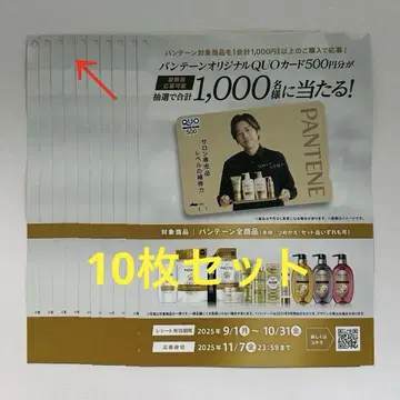 익명 배송 니노미야 카즈나리 판테인 전단지 플라이어