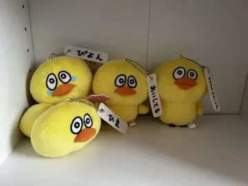멋진 병아리 4종 세트