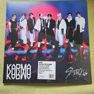 Stray Kids KARMA Sapphire Vinyl 카드 없음