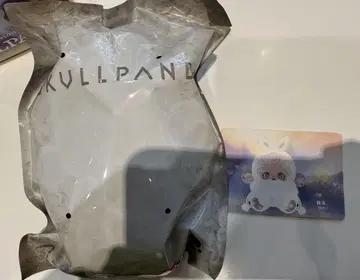 POPMART SKULLPANDA 스컬팬더 봉제 인형 펜던트 Mist