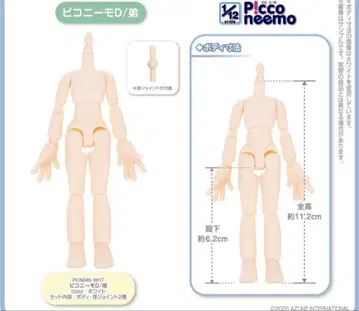 아존 1/12 피코니모 D 남동생 화이트