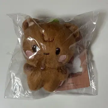 ATEEZ ANITEEZ IN CALLING TINYPLUSH 종호