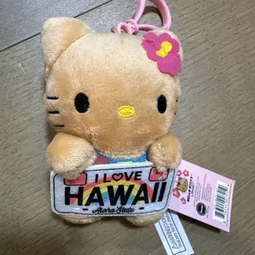 하와이 한정판 일광화상 키티 HAWAII 마스코트