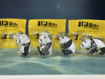 팬더 진화 피규어 세트 전 4종