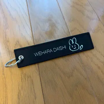 WANDS FADNS 플라이트 택 2023 우에하라 다이시 USAGI