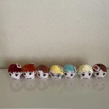 타이니 TAN 컴플리트 세트