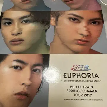 BULLET TRAIN EUPHORIA dvd
