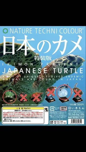 네이처 테크니컬러 일본의 거북 미시시피붉은귀거북 푸른바다거북(유체)