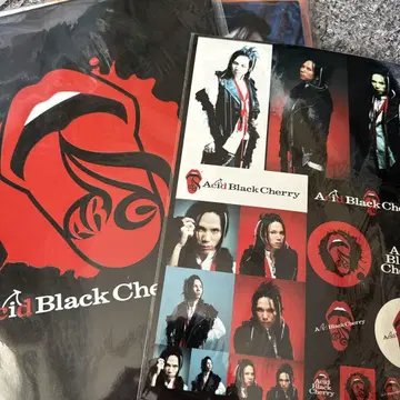 Acid Black Cherry 2007 프리 라이브