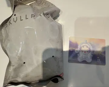 POPMART SKULLPANDA 스컬팬더 펜던트 lightning