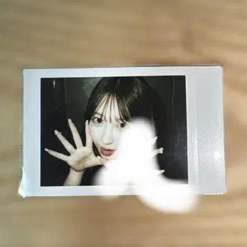사쿠라바 하루카 특전회 폴라로이드
