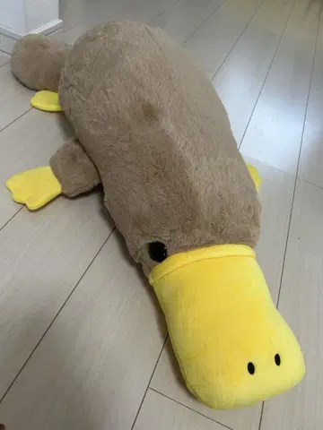 아루마도 복슬복슬 오리너구리 초 BIG 봉제 인형