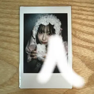 사쿠라바 하루카 벚꽃 혜택회 폴라로이드