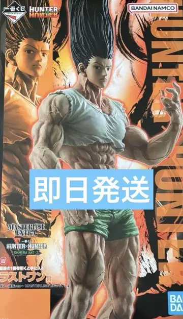 HUNTER x HUNTER 제일복권 키메라 앤트 2 라스트 원상