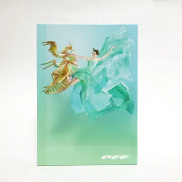 ACC CM 연감 2018