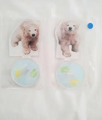 야기야마 동물원 북극곰 우미 소라 아크릴 스탠드 세트