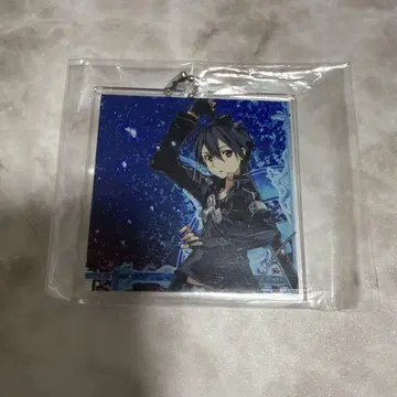 SAO 소드 아트 온라인 풀다이브 CD 아크릴 참 키리토 레어