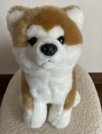아키타견 마사루 봉제 인형