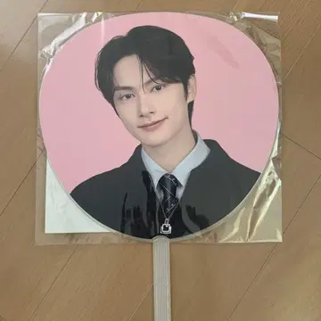 SEVENTEEN 세부치 준 부채