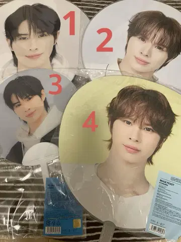 TWS 경민 부채 묶음 판매