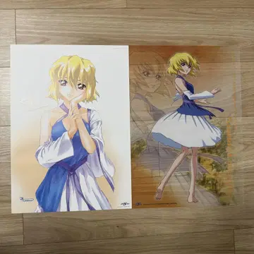 기동전사 건담 SEED DESTINY 스텔라 루셰 포스터 2종 세트