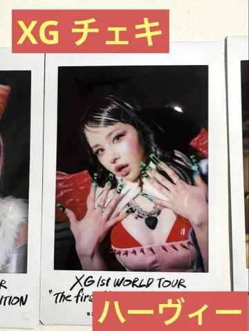 XG 폴라로이드 하비 HARVY