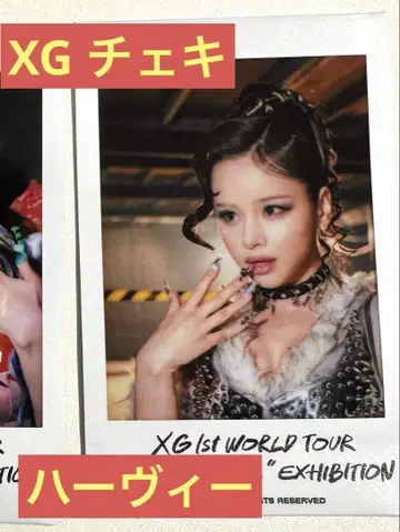 XG 폴라로이드 하비