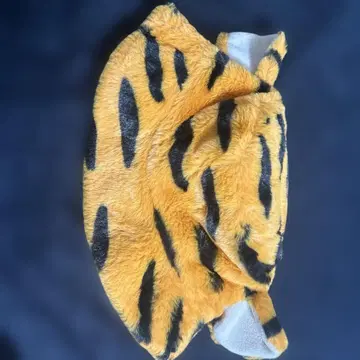 디즈니 햇
