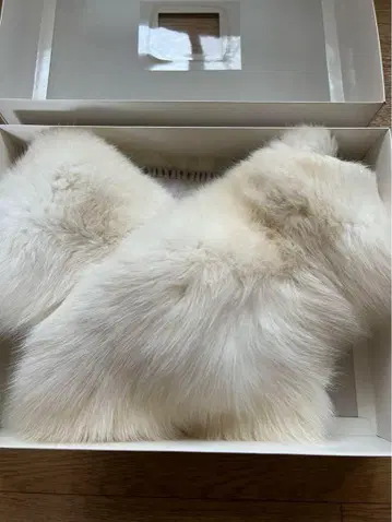 성인식 숄 새상품급