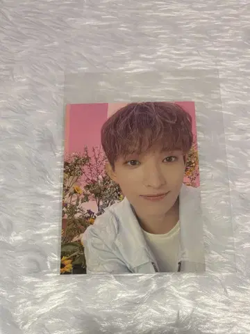 SEVENTEEN 도겸 ALWAYS YOURS 셀카 사진